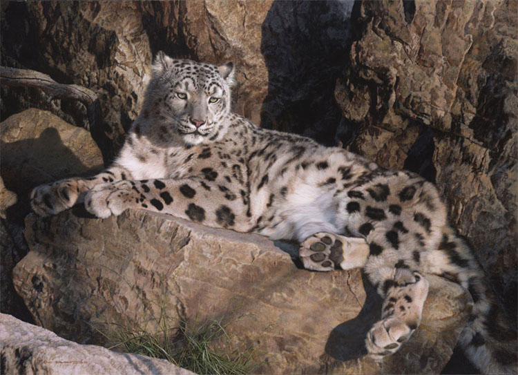 (image for) Handmade oil painting Copy paintings of famous artists Carl Brenders Paintings Ghose Cat-Snow Leopard